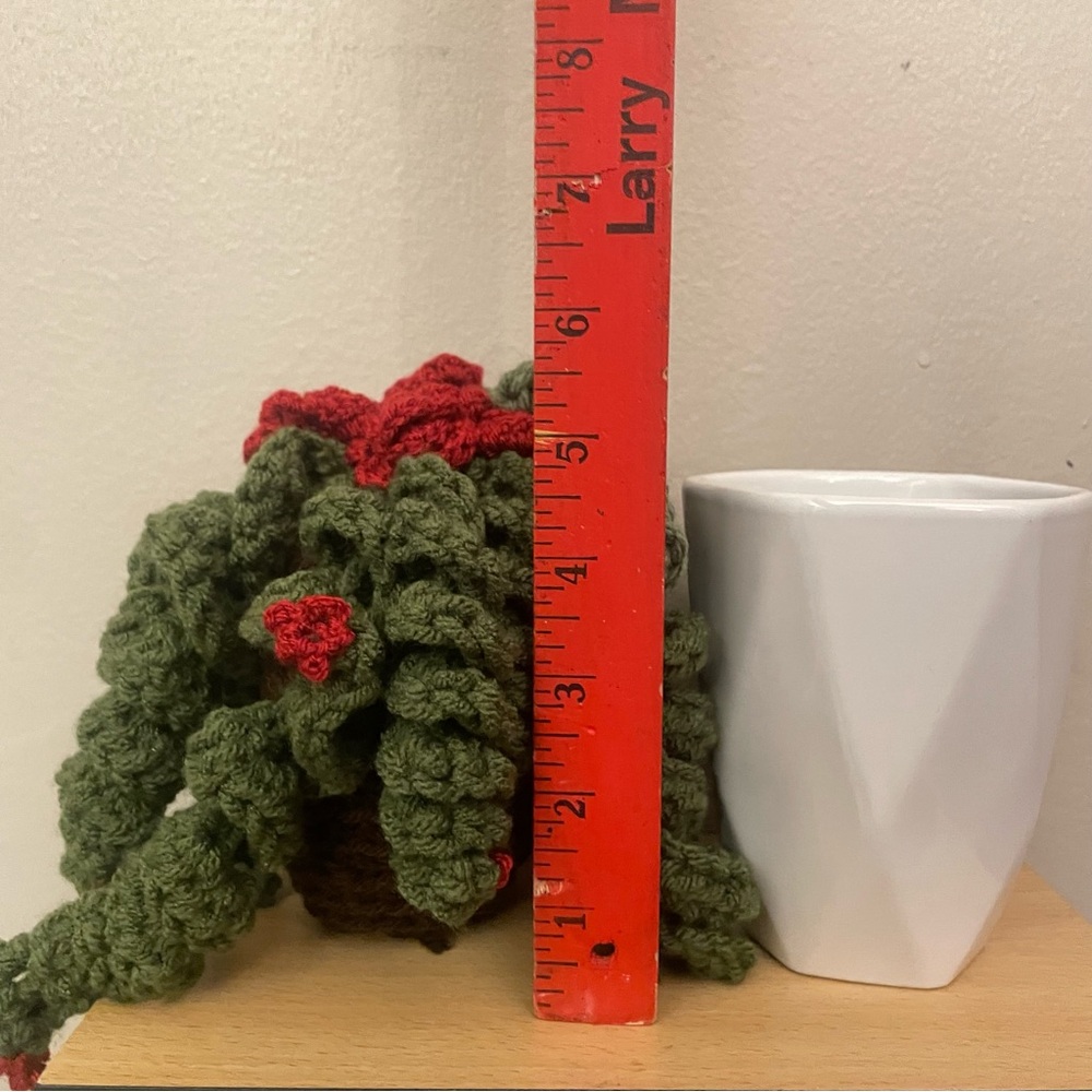 LD Yarn Creations Handmade Green & Red Crocheted Plant Décor – Approx 6” Tall - Picture 13 of 13